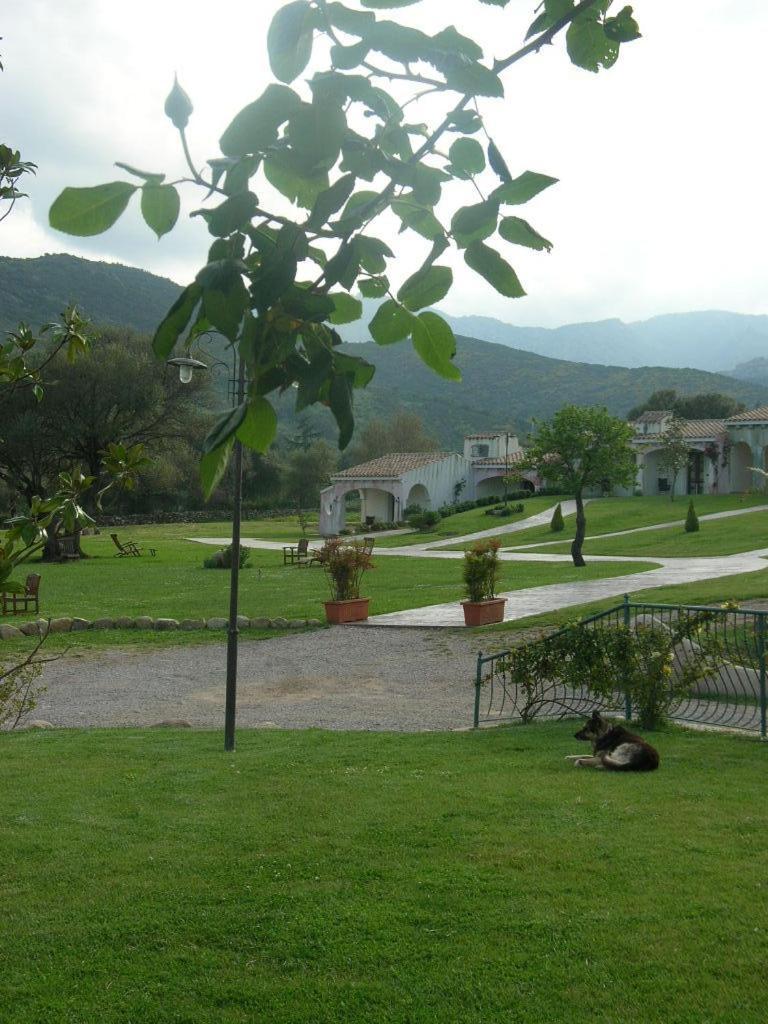 Tenuta Le Terre 1927 Casa de hóspedes San Teodoro  Exterior foto