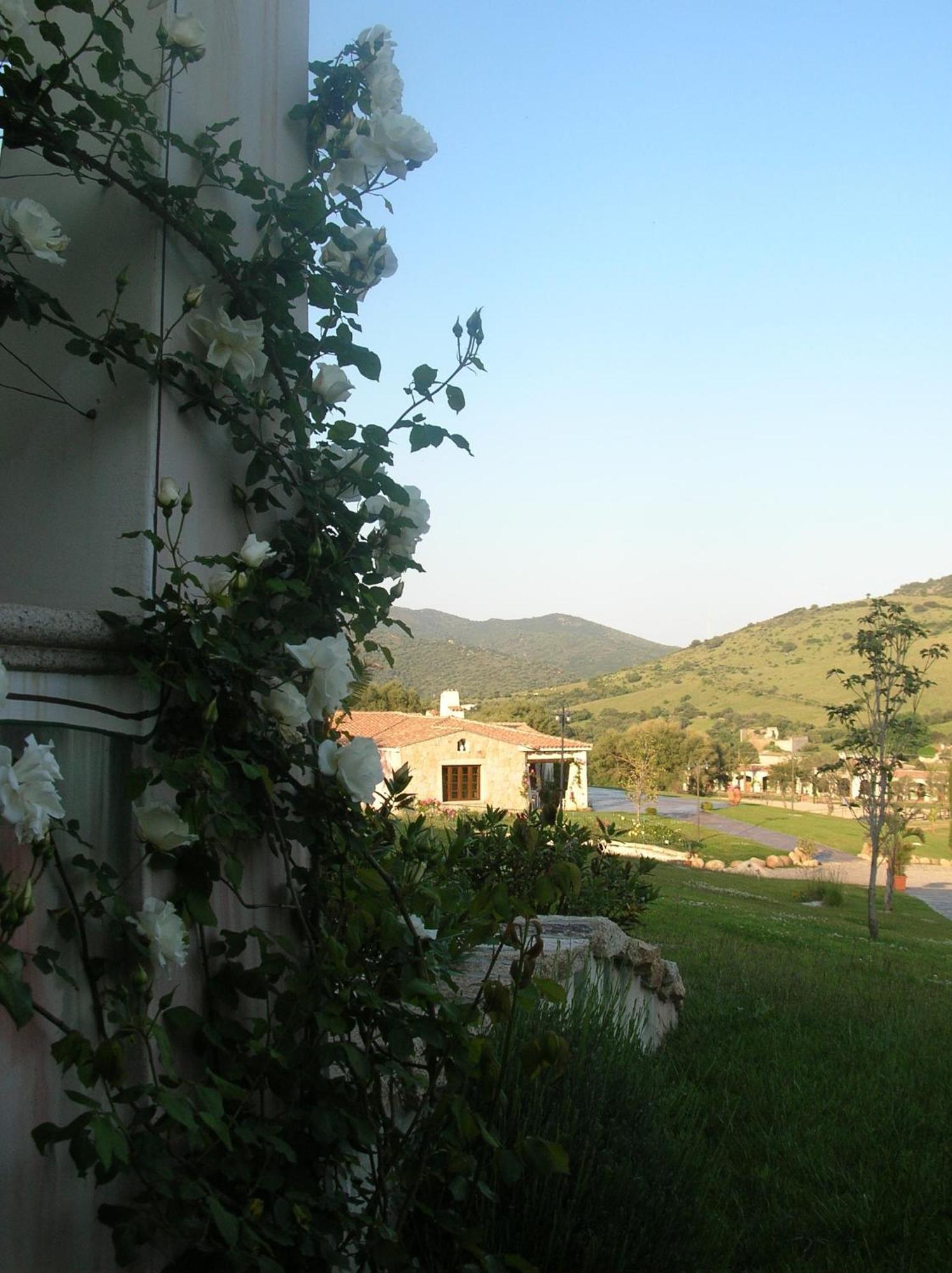 Tenuta Le Terre 1927 Casa de hóspedes San Teodoro  Exterior foto