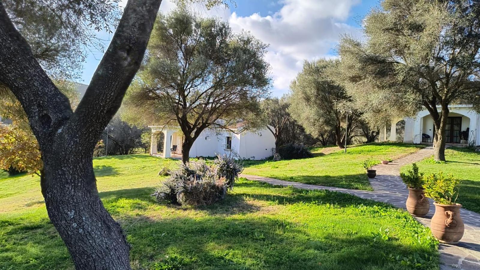 Tenuta Le Terre 1927 Casa de hóspedes San Teodoro  Exterior foto